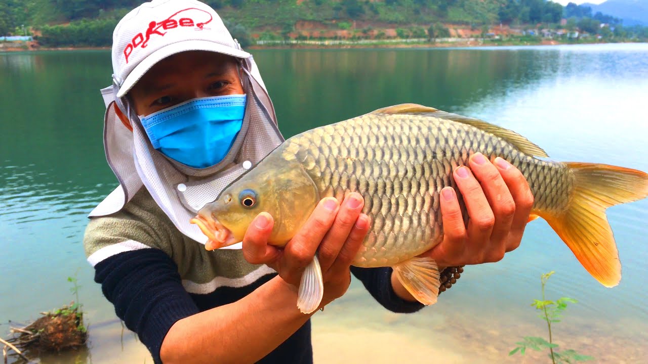 CÂU ĐÀI HỒ TỰ NHIÊN - CÂU ĐÀI CÁ CHÉP HỒ ĐỒNG ĐÒ SÓC SƠN FISHING IN HANOI