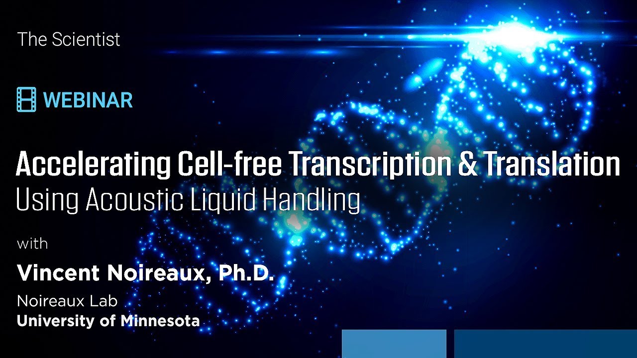 Webinar: Accelerating Cell-free TXTL with Acoustic Liquid Handling