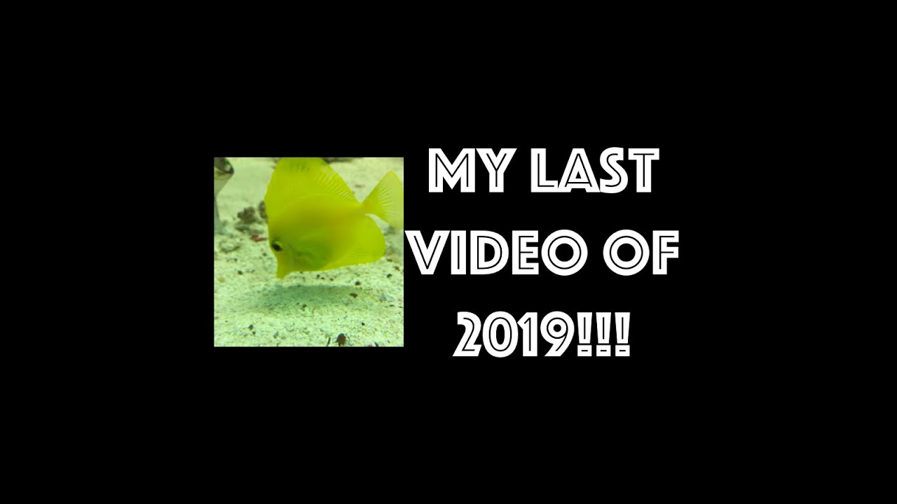 My last video of 2019!!!