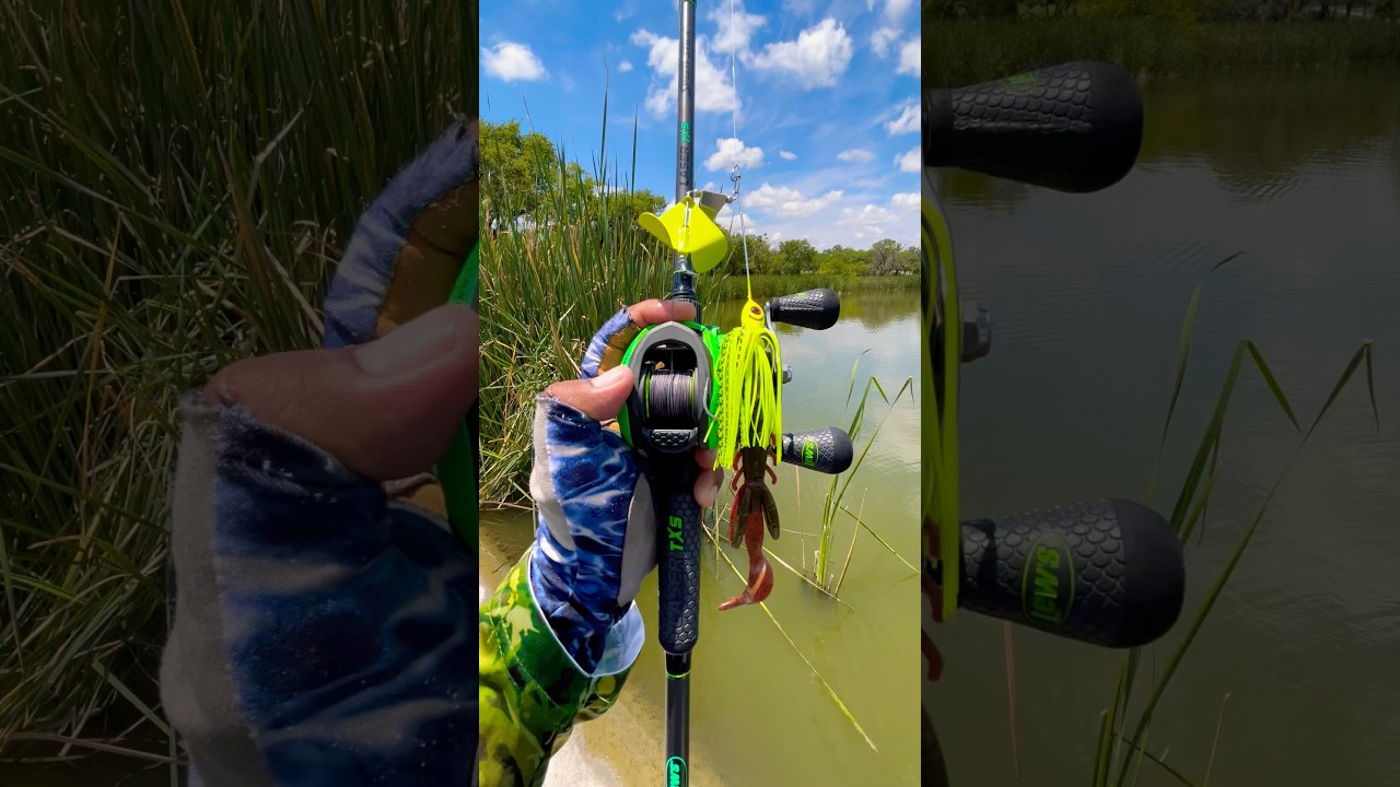 Tips Casting Baitcaster with Buzzbait for Bass#fishing#fish#shortvideo#shortsvideo#short#viral#tips