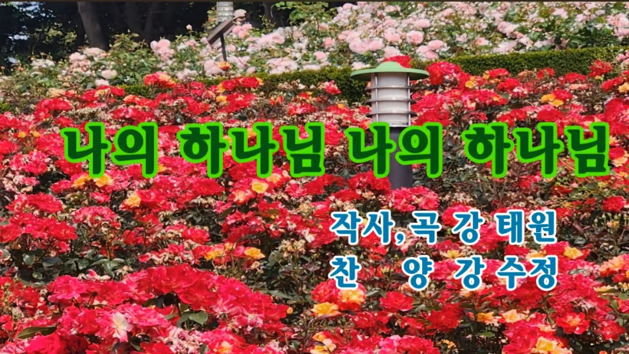 나의하나님 *30분연속*24.6.8 #강수정선교사