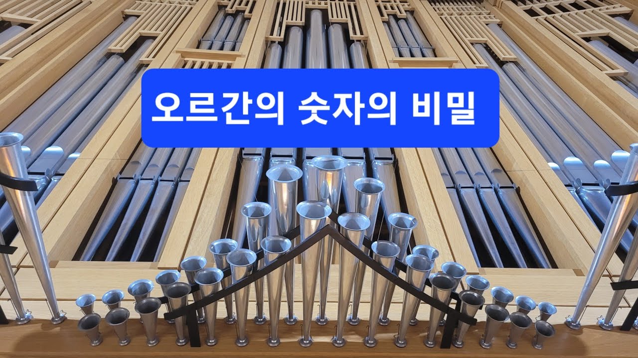 파이프 오르간의 숫자의 비밀 (목5동성당 반주단 세미나)