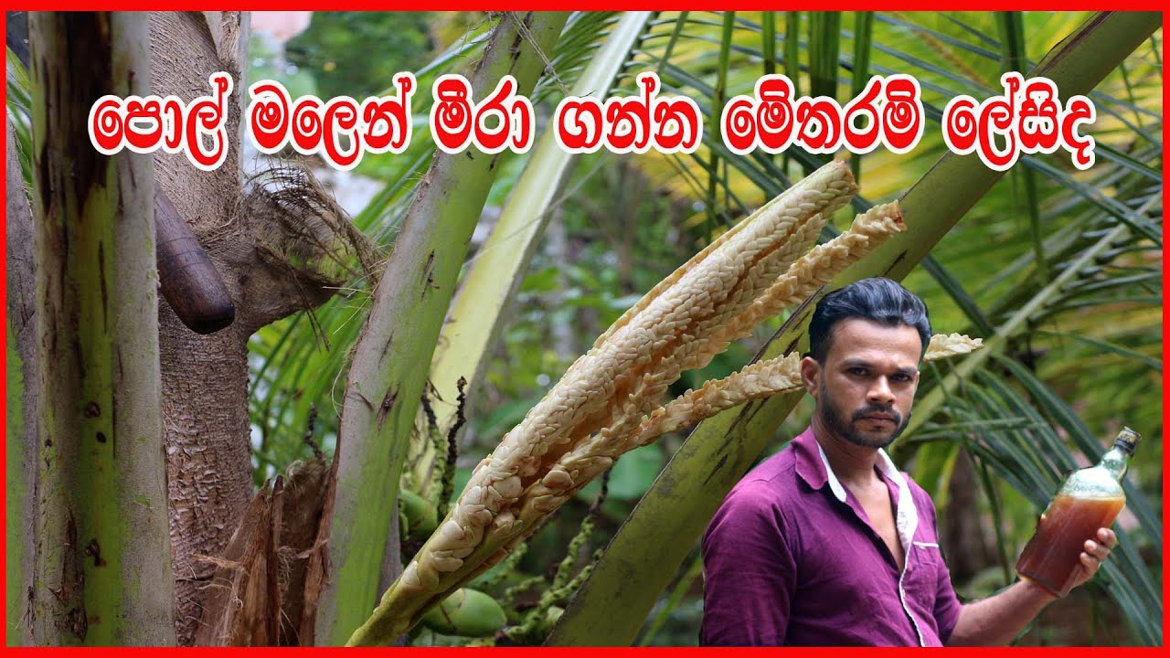 pol mal kapima | how to make a coconut flower | pol mal sadima