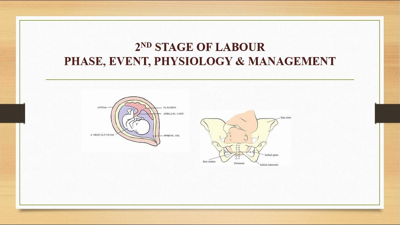 2nd stage of Labour ||Stage II of Labour in Hindi ||Physiology, Event, Management of Stage II Labour