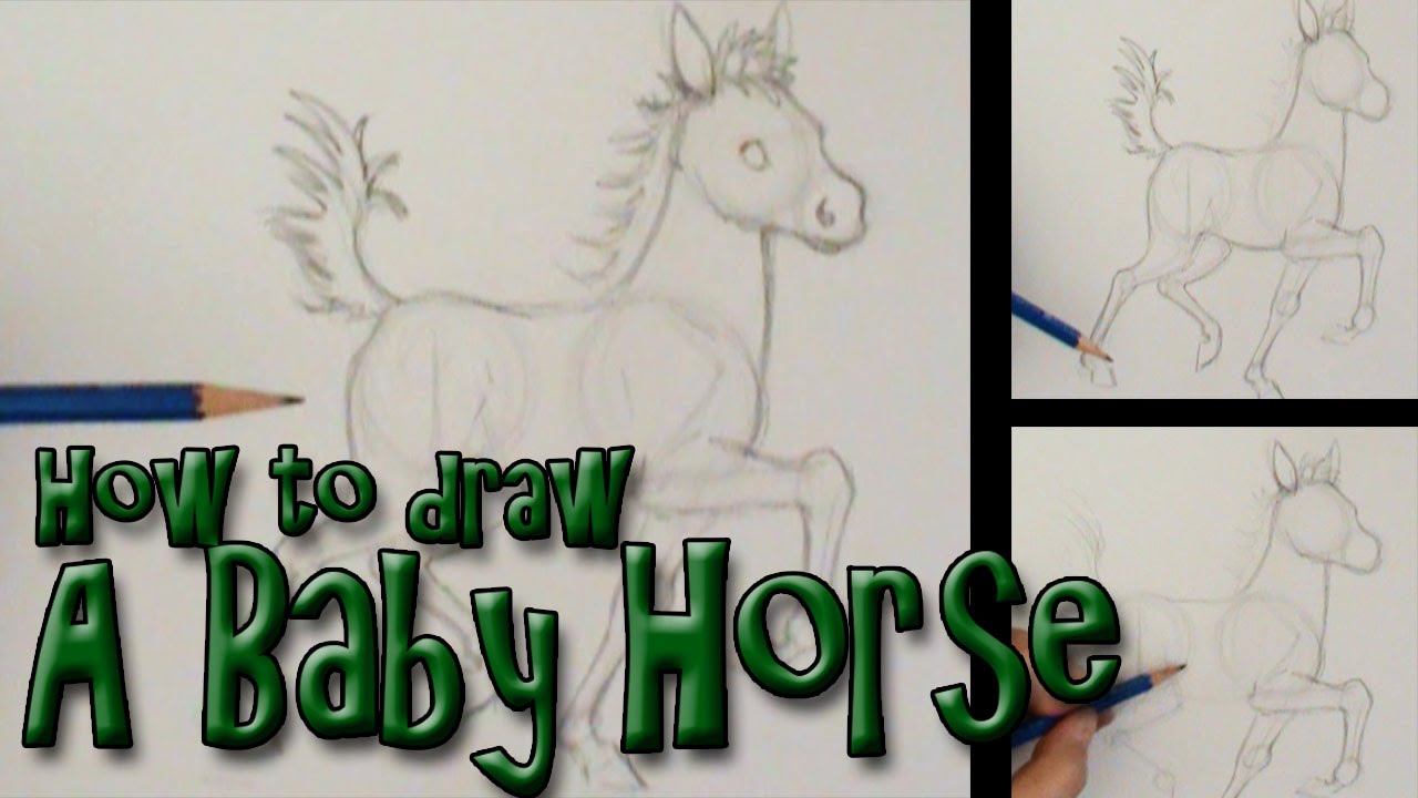 How to draw a Baby Horse