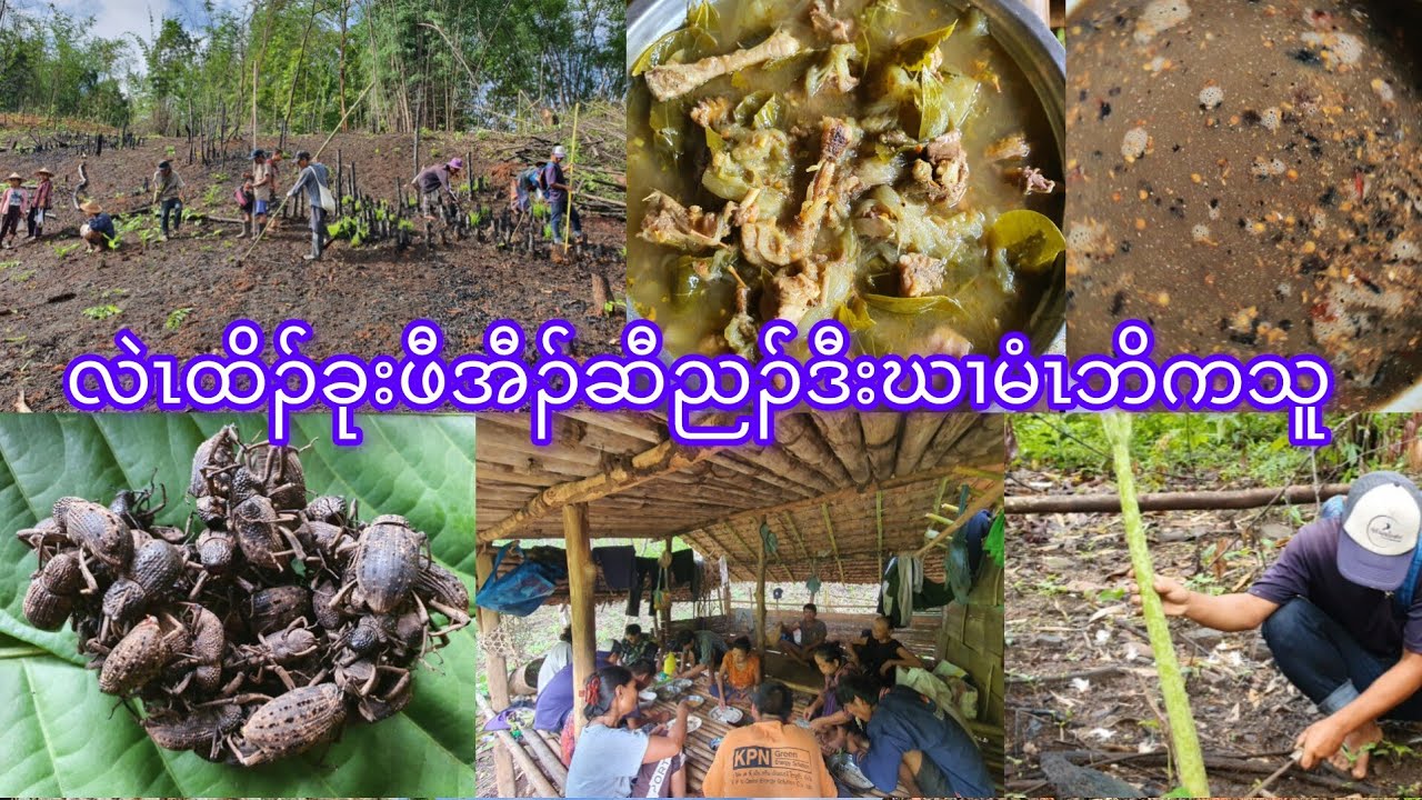 Karen farmers teamwork