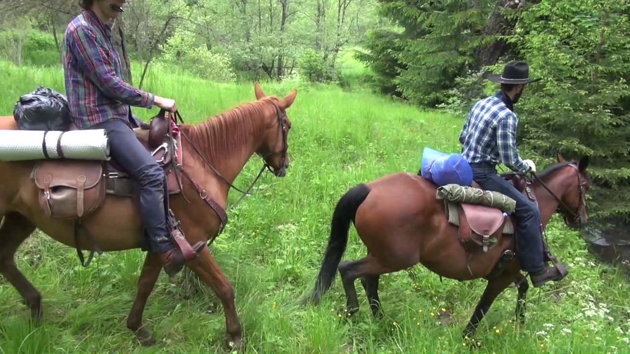 Bieszczady_2016