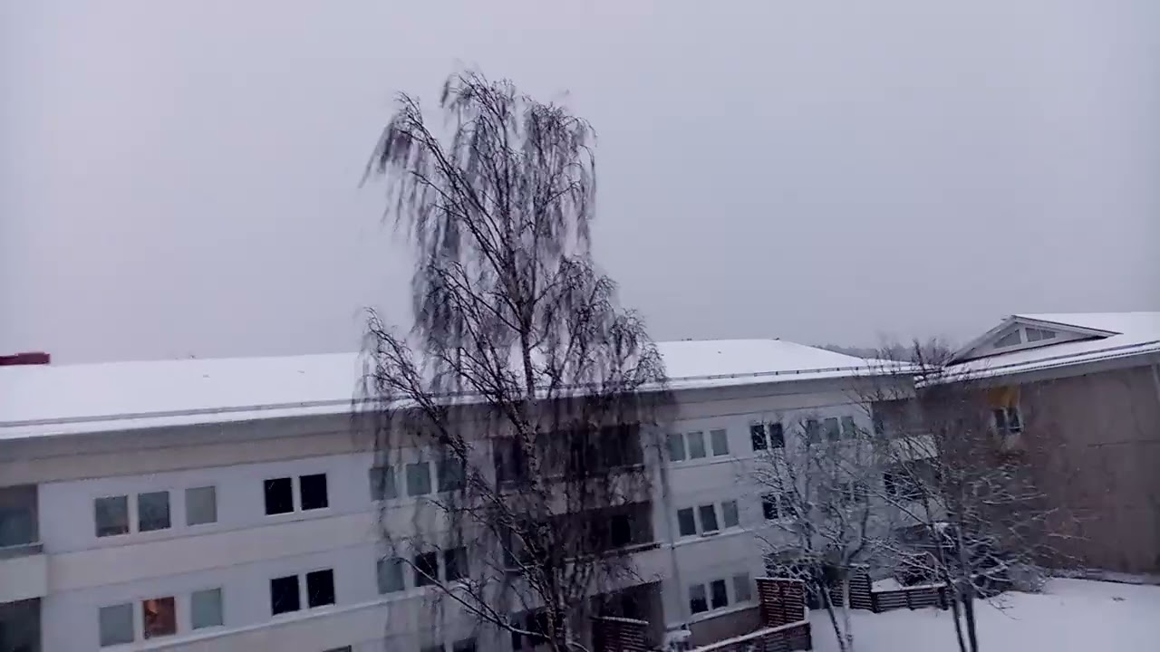 ثلوج في اول يوم من هذا العام 2026. وحاليا اكثر. بردا وسلام على العالم اجمع 🙏🤲🌨️🌠🎄💐👉🌠