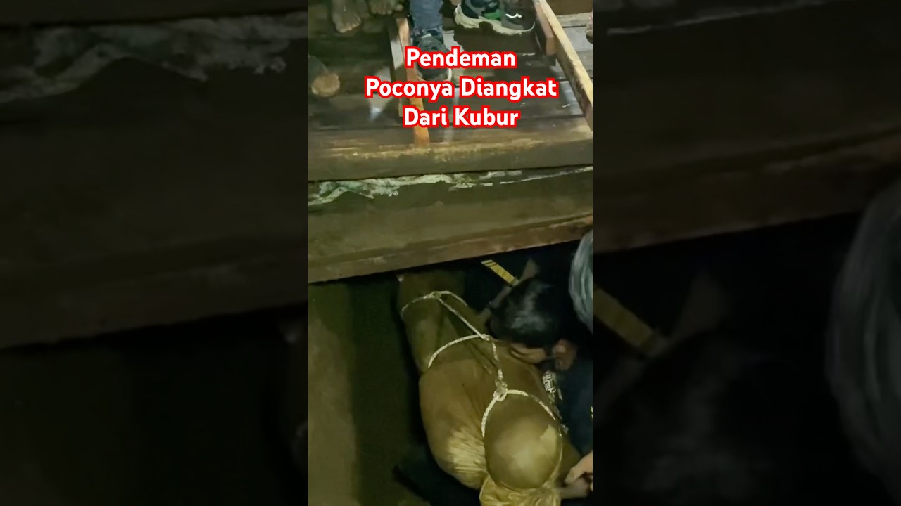 Pendeman Bantengan Putra Singo Kembar #bantengan #mberot #ndadi #kudalumping #jaranan #shorts #short