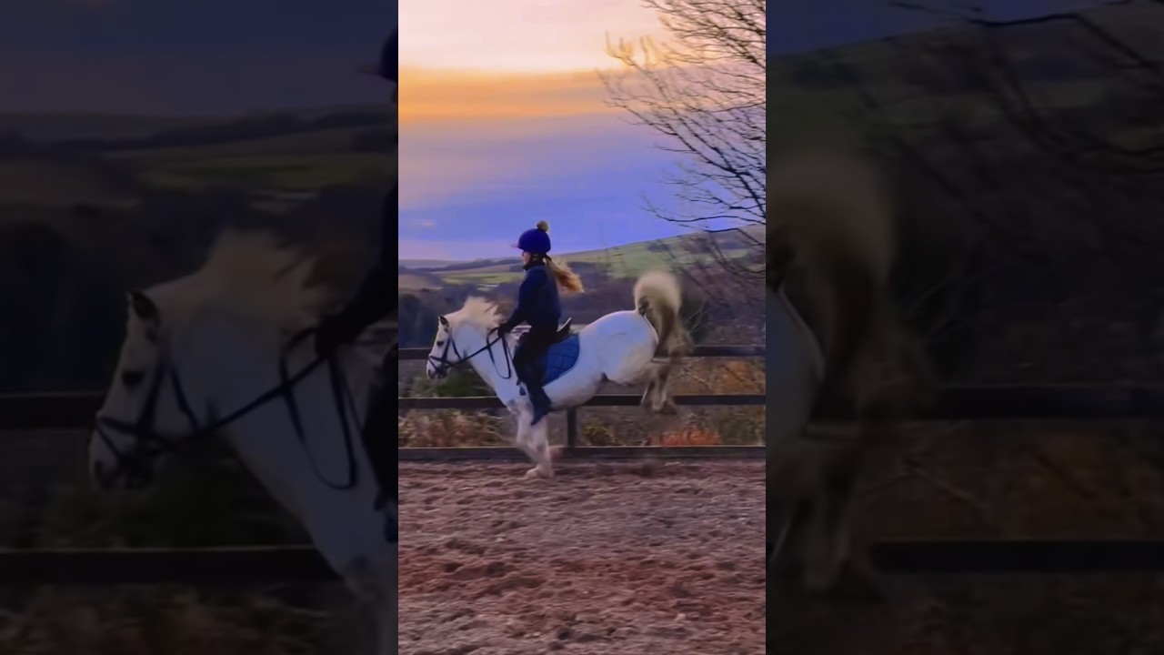 BIGGEST HORSE BUCK😱#riding#equine#equestrian#showjumping#jumping#viral#fallingof#buckinghorse#short