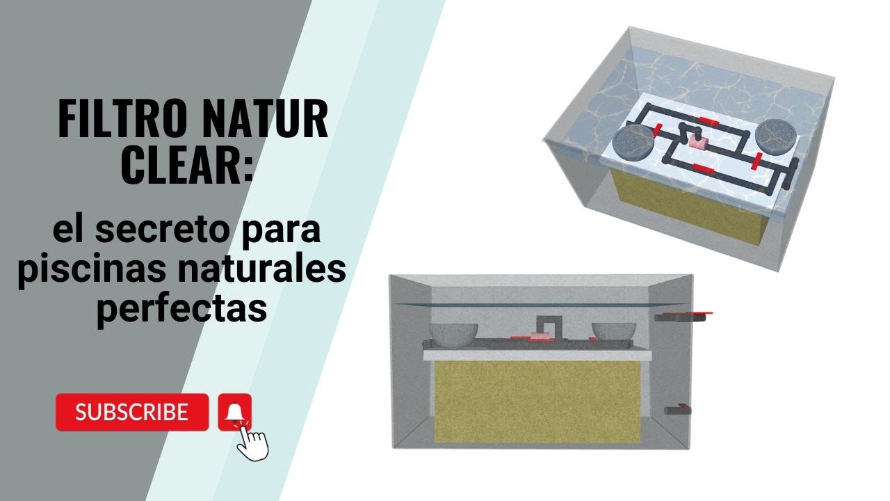 Piscinas naturales: ¿cuándo necesitas un filtro biológico?
