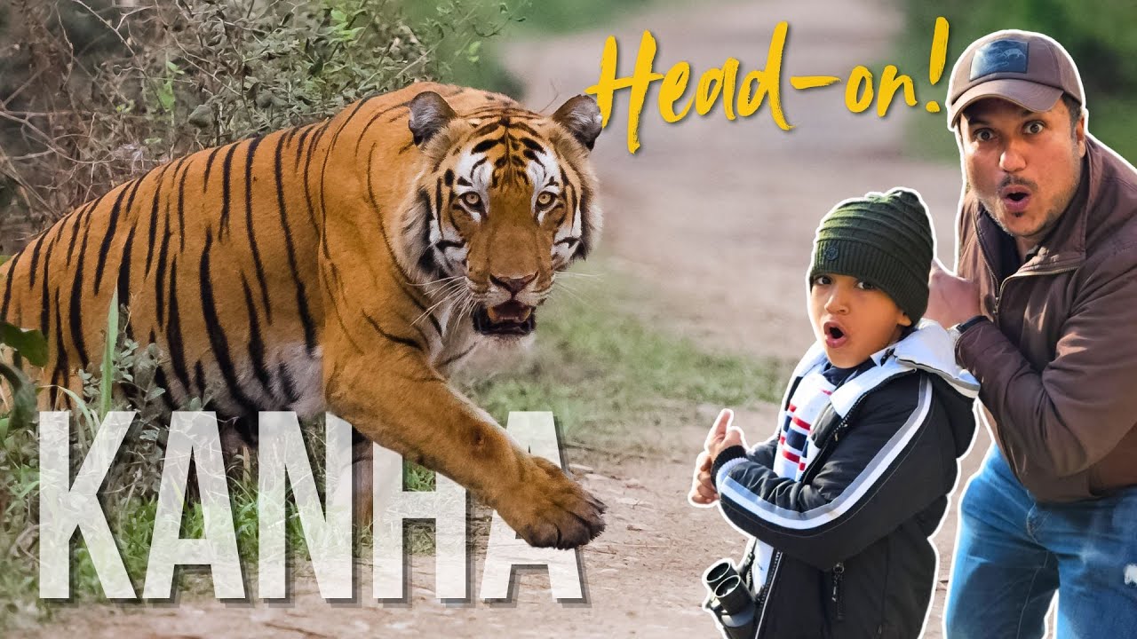 My Ultimate Tiger Safari Experience in Kanha National Park | Must Watch Before You Go!