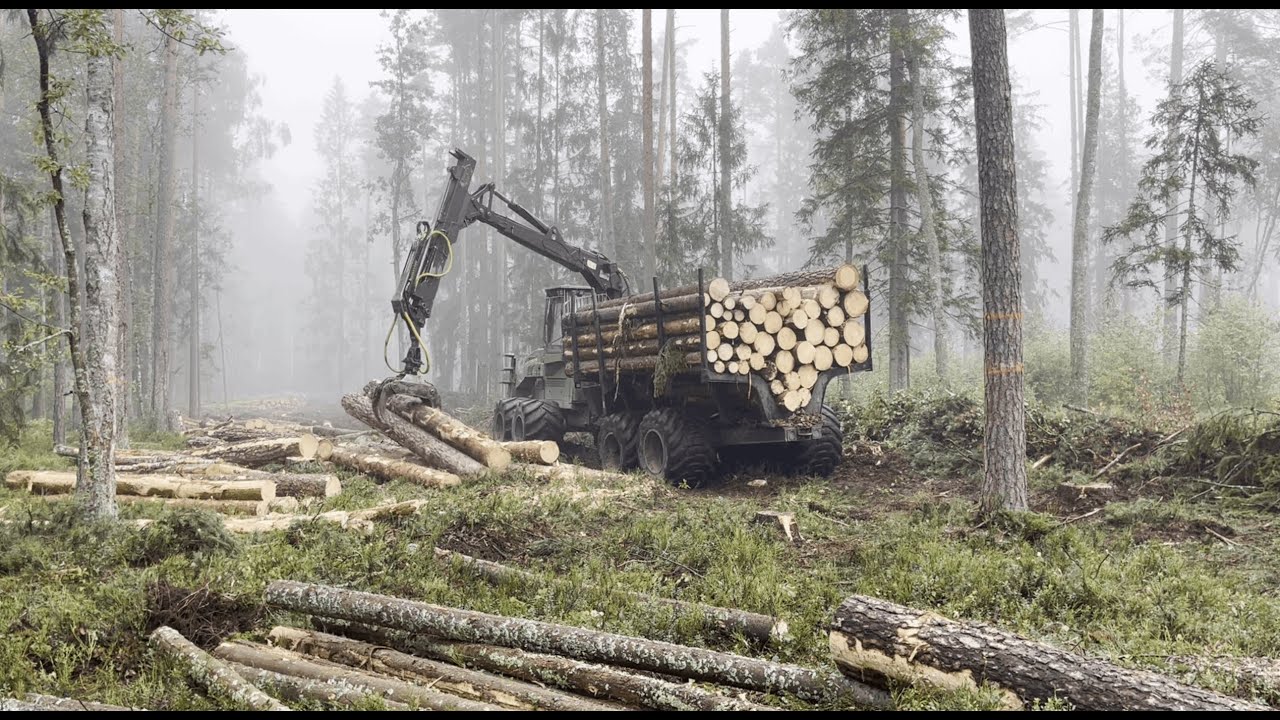 ОПЕРАТОР ХАРВЕСТЕРА🌲10 СЕРИЯ🌲СУПЕР ЛЕС🌲JOHN DEERE1470E🌲2024🌲2АЯ ЧАСТЬ 🌲РЕМОНТЫ🌲ОБЗОР КЕМПИНГА