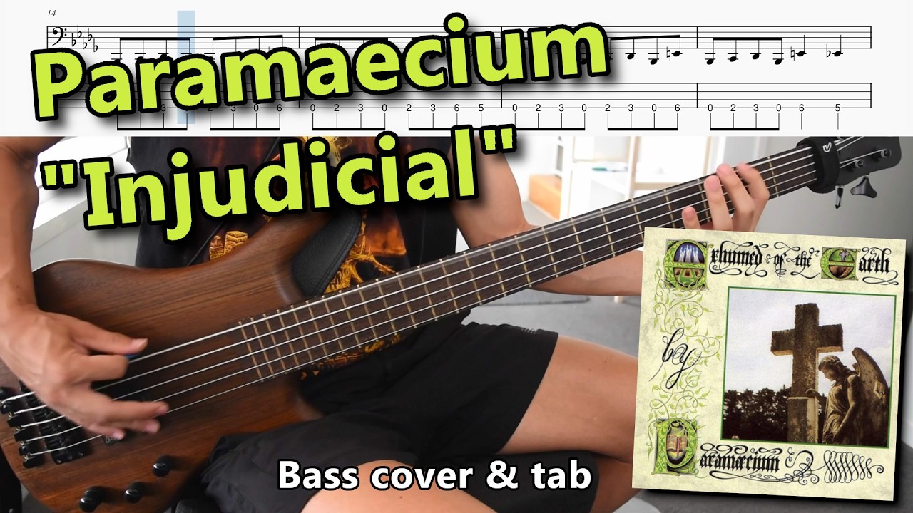 Paramaecium - 