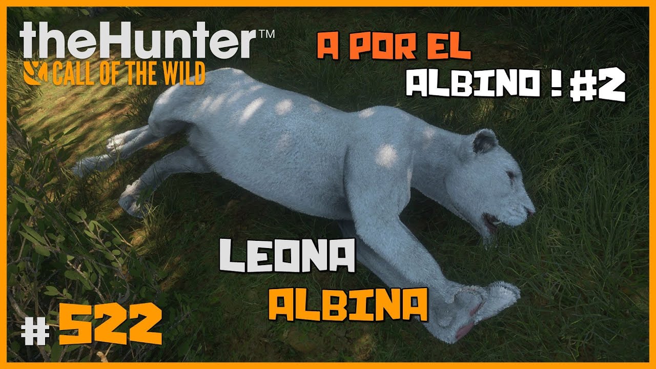 LEONA ALBINA EN LA SEGUNDA RONDA, CAZA DE LEONES | 🦌theHunter: CotW #522