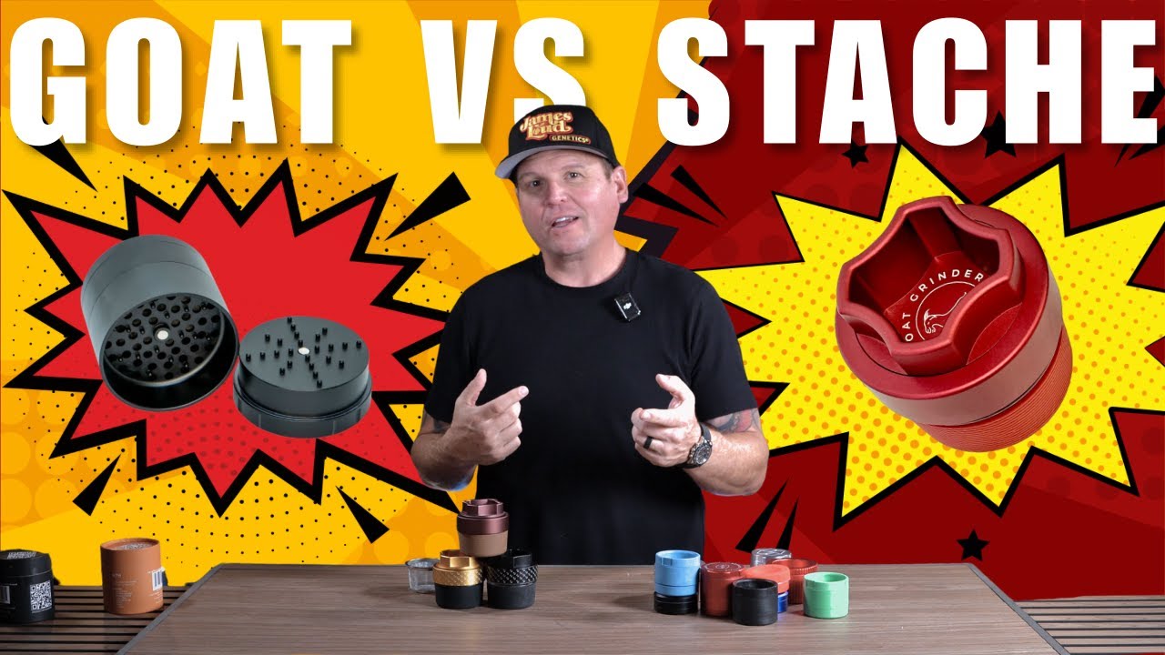 Grinder Showdown Part 2 - GOAT vs STACHE