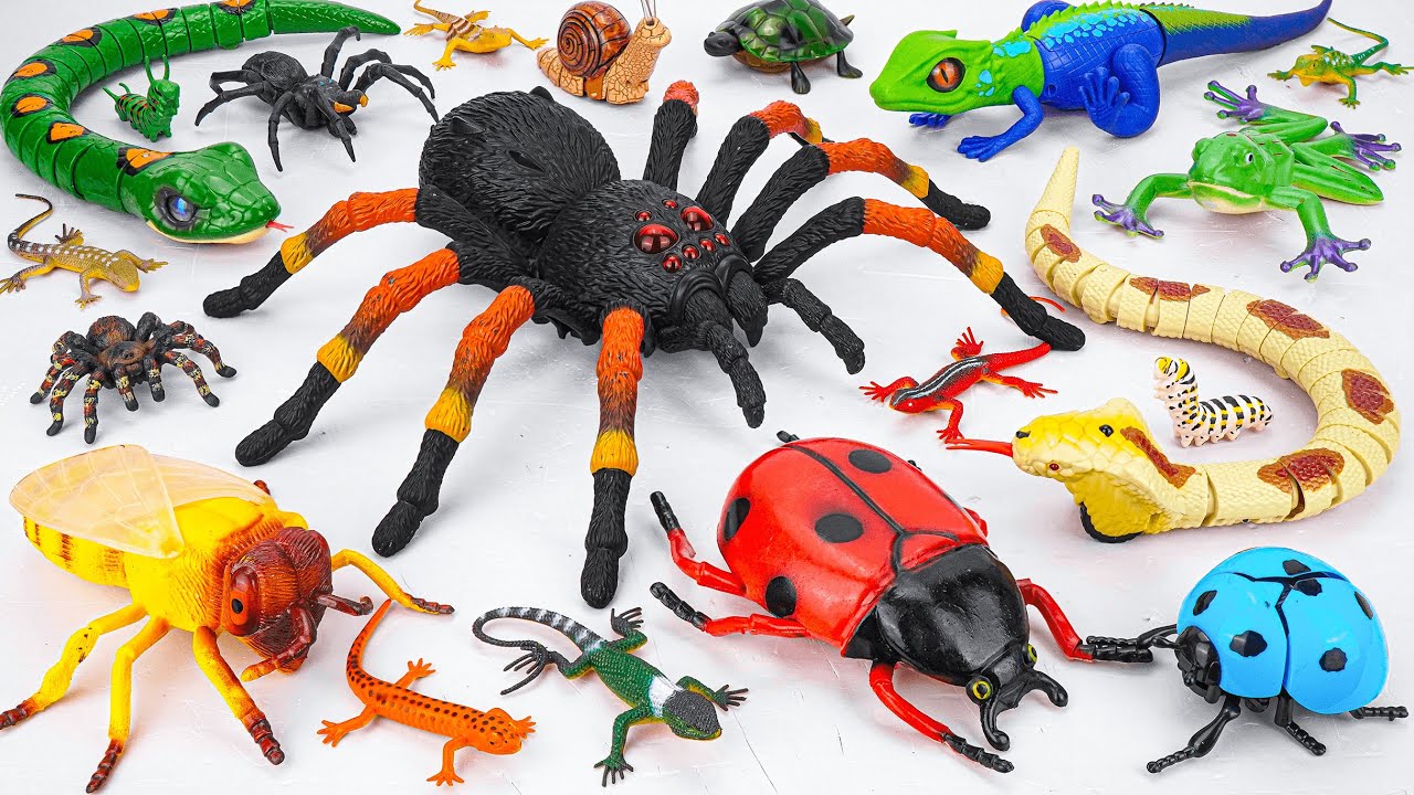 Ultimate ZURU Robo Alive Insects ASMR 🦎 Spider, Snake, Ladybug, Lizard, Worm (No Talking)