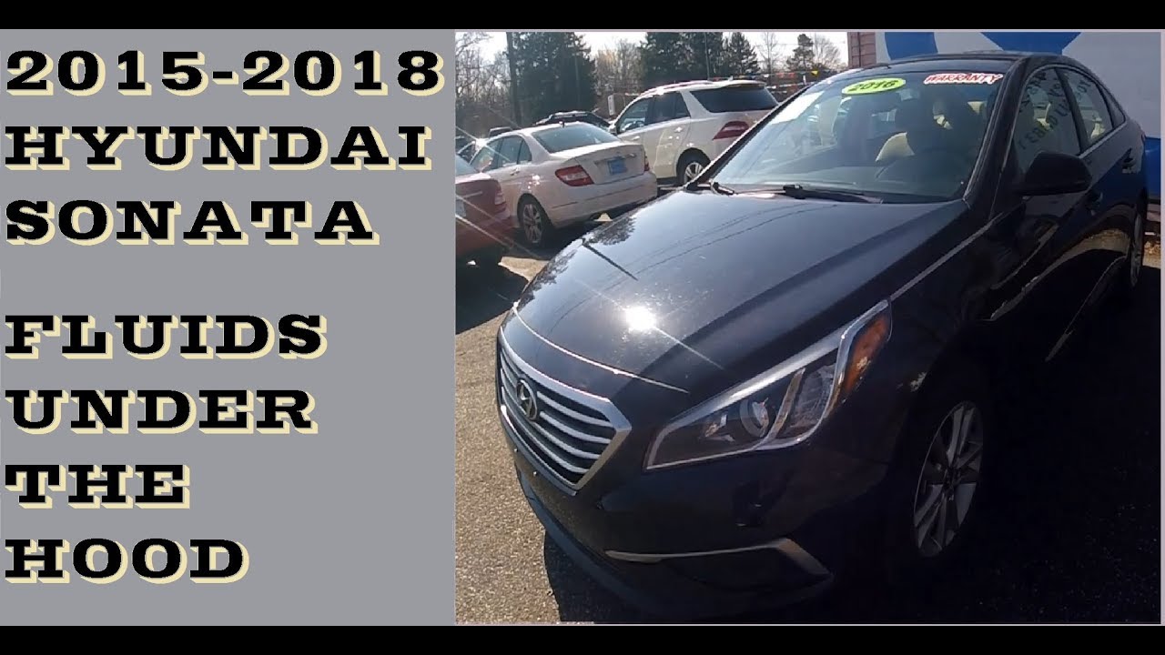 Fluid Maintenace in 2015-2018 Hyundai Sonata