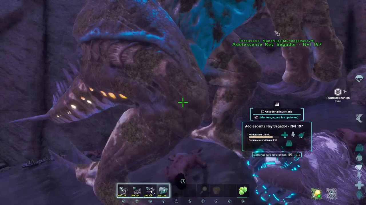 Ark