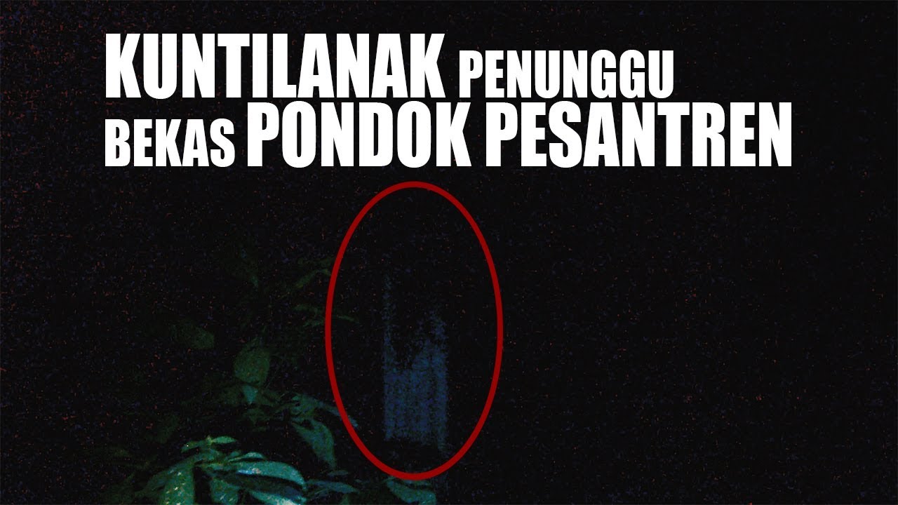BIKIN TEGANG DIJEGAL POCONG DAN  KUNTILANAK || LIVE STREAMING RECORDED