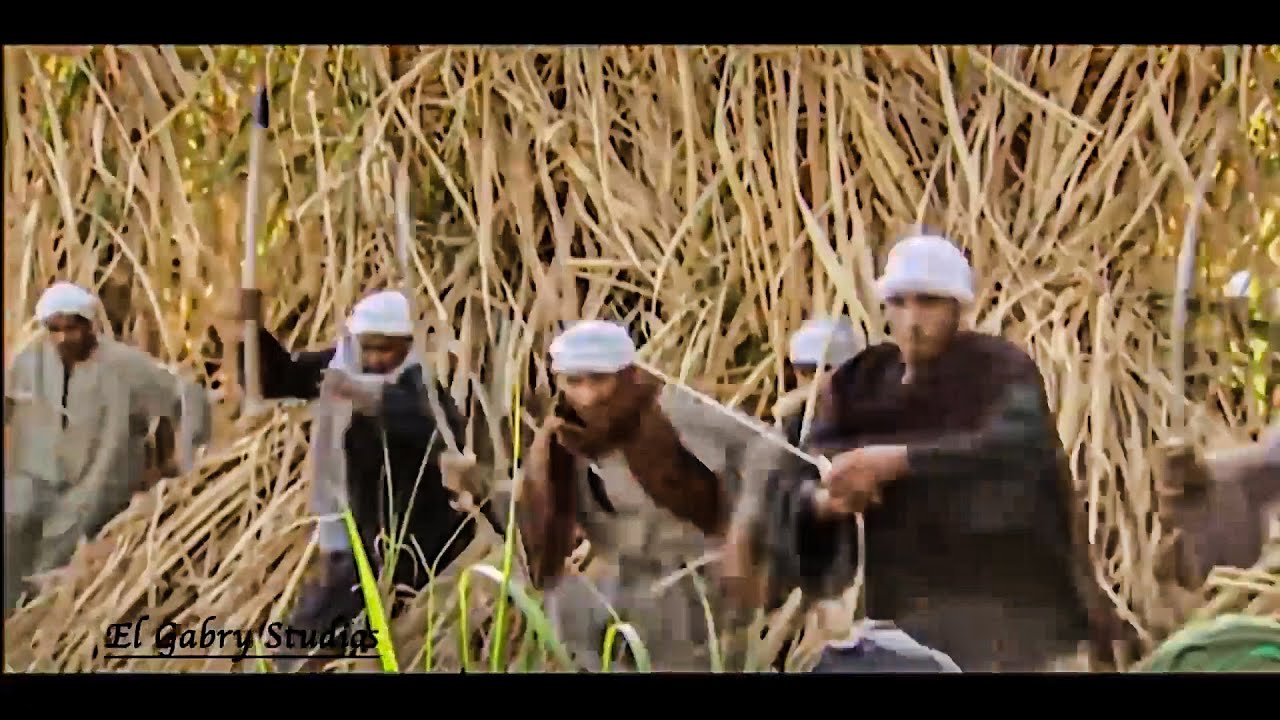 الشيخ عيسى الهواري عمل كمين للماليك وخلص عليهم قبل ما ياخدوا ارض برديس 🚫🪓