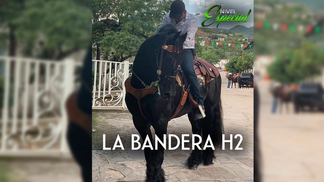 La Bandera H2 - Nivel Especial (Corridos 2020) EXCLUSIVO