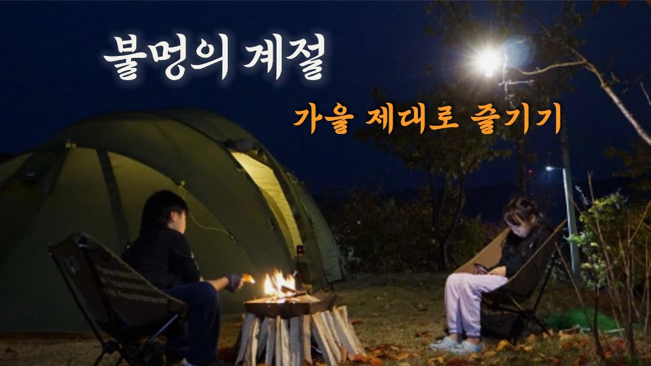 경북포항캠핑장🏕️ 비손농장에서의 가을캠핑🍁 가을의 한 중심에 있는 기분🍁 불멍하고🔥 먹고, 불멍하고🔥 먹고