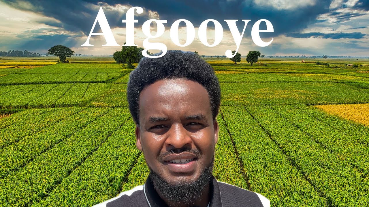 NIMCADA DALKA AYSAN SOOMALI BADAN OGEEYN (AFGOOYE)