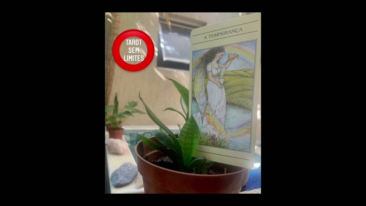 MEDITAÇÃO GUIADA COM TAROT | ARCANO DA SEMANA: VIBE SEMANAL - A TEMPERANÇA @tarot_sem_limites