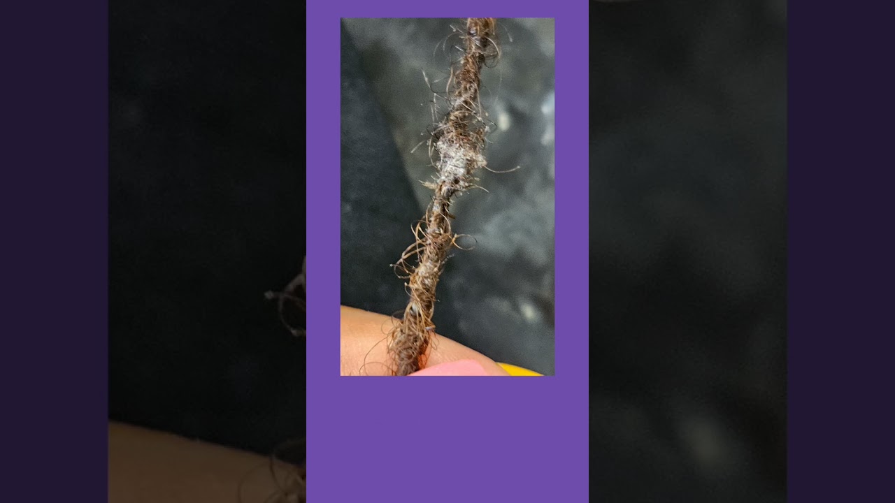 Как бороться с ворсом в маленьких локонах!!! #микрозамки #сестринскиелоки #локжизнь #локдетокс