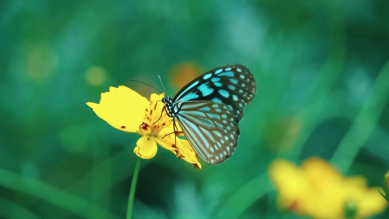 Upendo Wako - Tulivu Worship