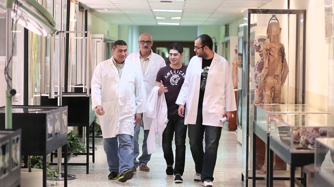 Kuwait university video