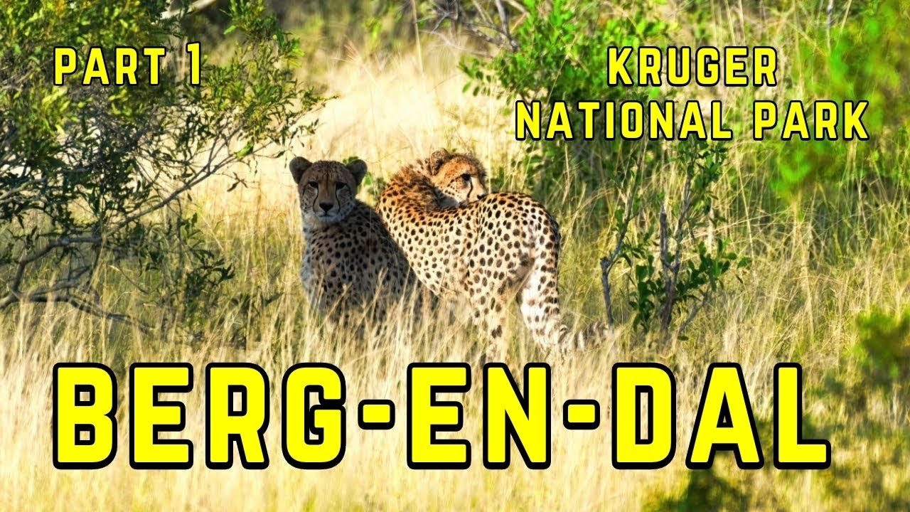 Discovering Berg en Dal's Hidden Treasures #wildencounters #birds #africanwildlife #africansafari