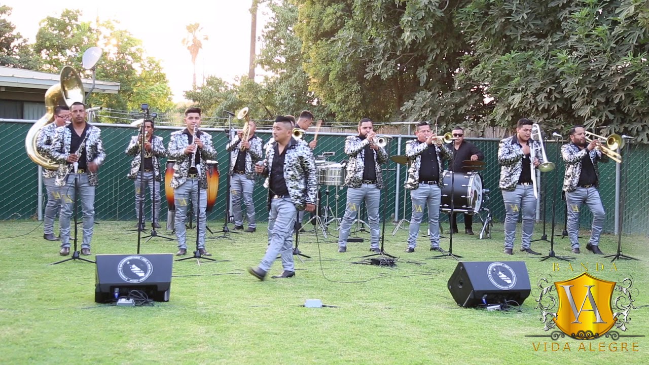 Banda Vida Alegre  El Borrego Cacheton
