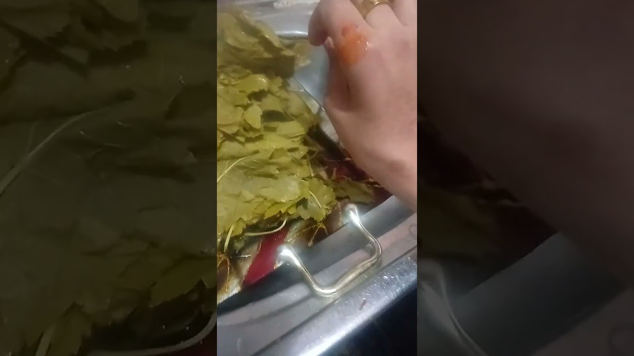 ٦ يناير ٢٠٢٦