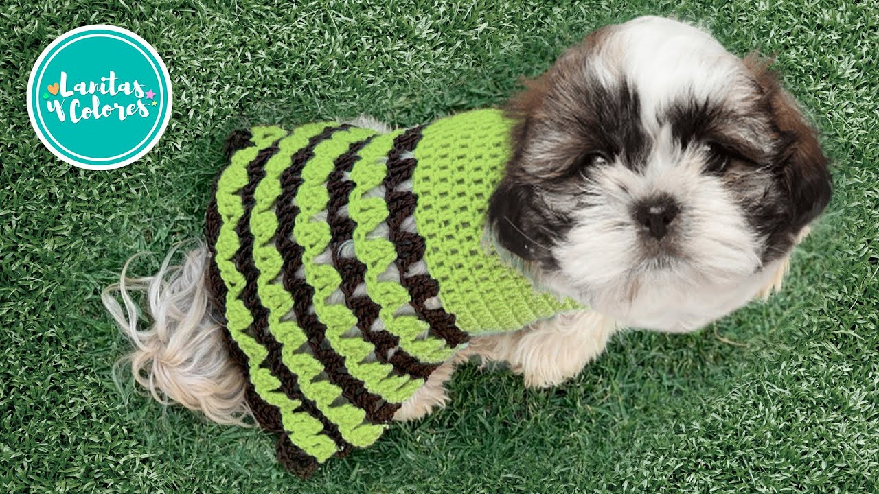 🐶COMO TEJER UN SACO PARA PERRO PASO A PASO. Tejido a crochet. Sueter para mascotas a ganchillo🐕‍🦺