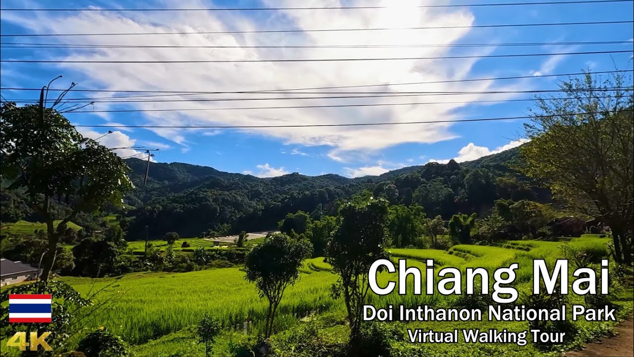 Thailand Travel 🇹🇭 Doi Inthanon National Park , Chiang Mai [4k Virtual Healing Trip]
