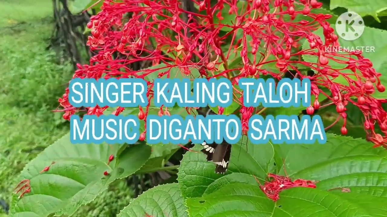 MISS SIANG KARAOKE SONG
