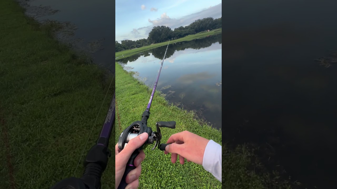 KastKing Mg-Ti Elite in ASMR mode.