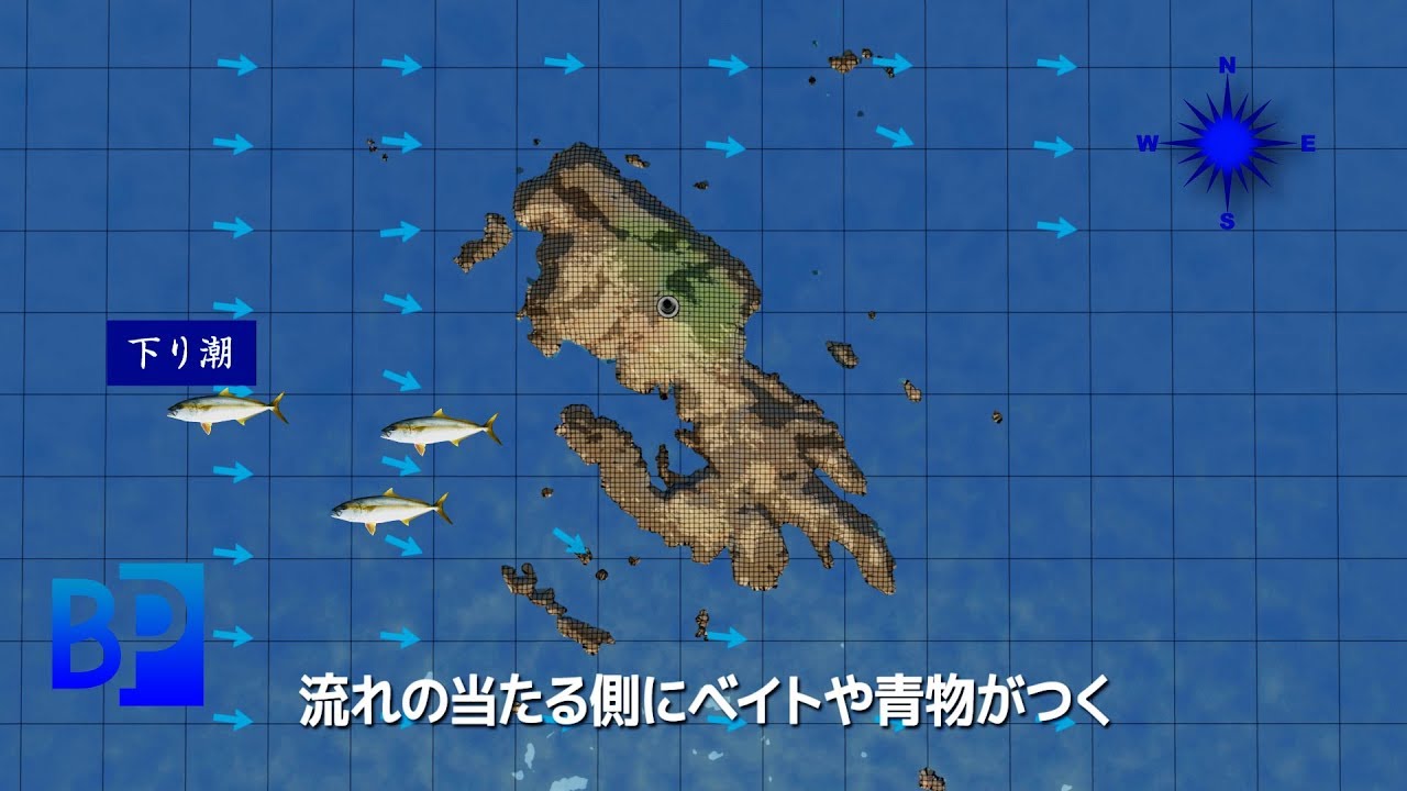 神子元島 ルアー青物攻略・時合いはここだ！