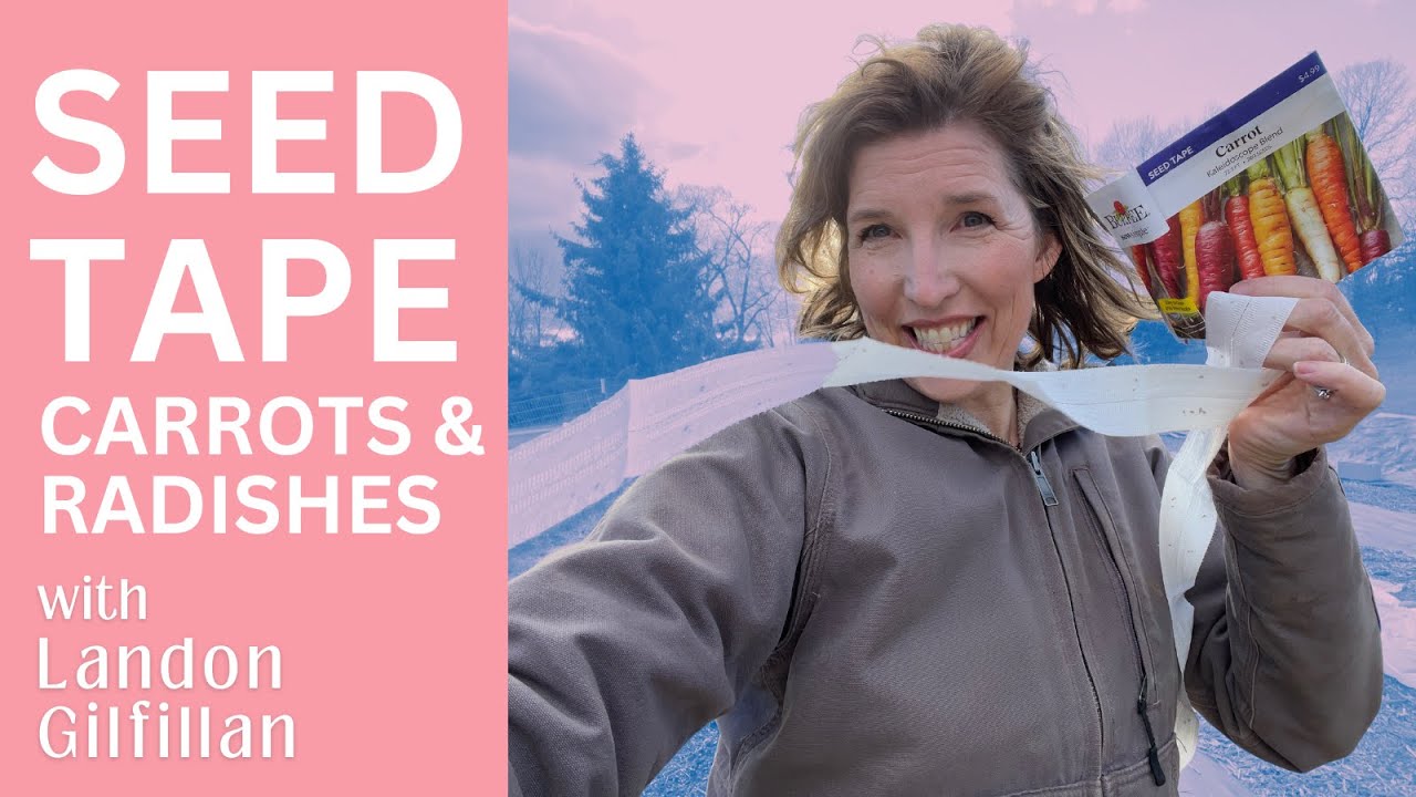 My Fave Carrot & Radish Planting Tip (& I LOVE seed tape!) | Garden 2024