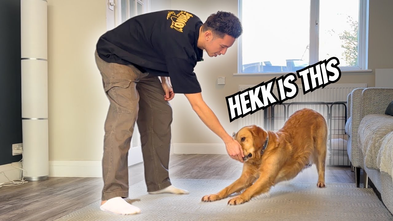 I Taught My Dog To BOW