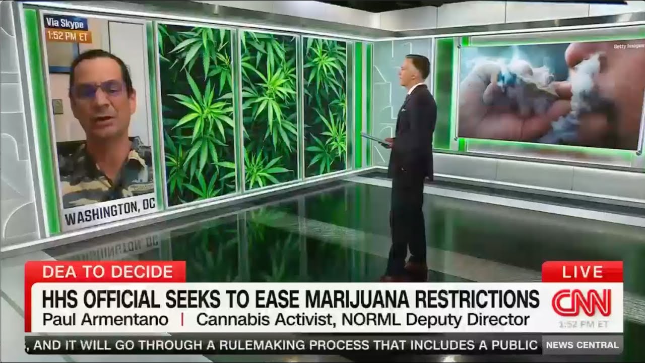 NORML Deputy Director Paul Armentano Talks Federal Marijuana Rescheduling on CNN