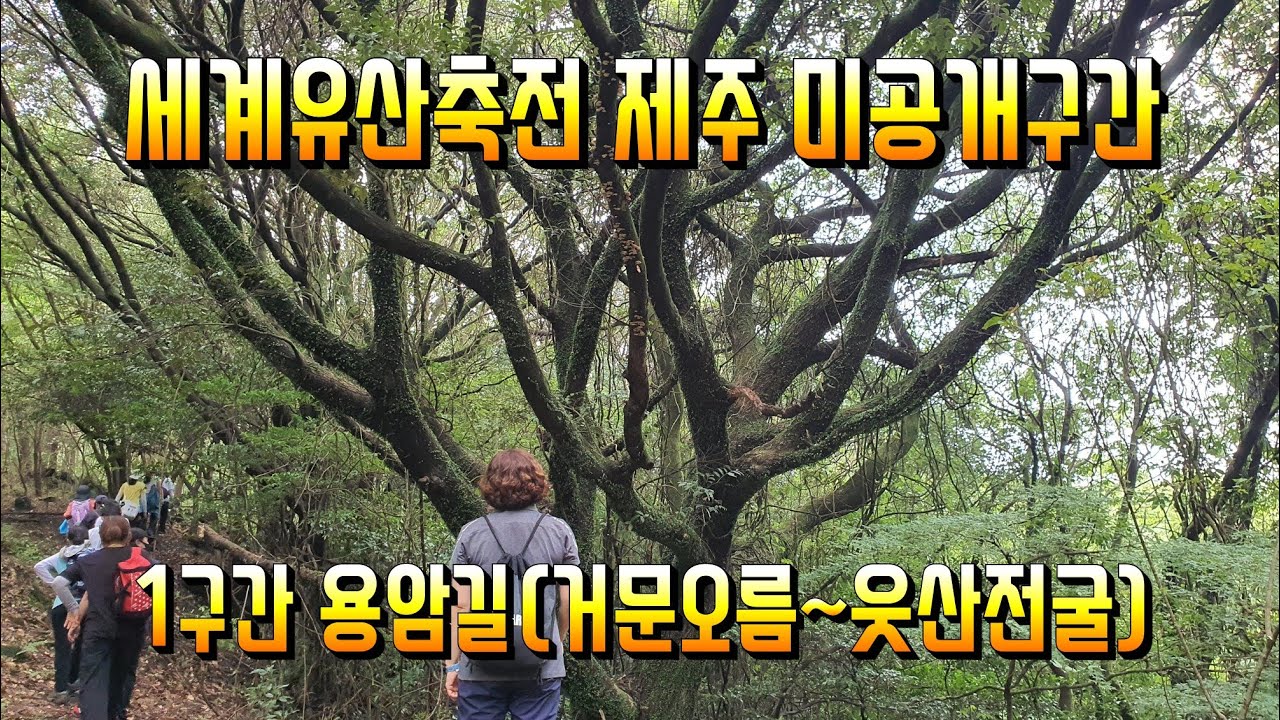 제주여행 - 세계유산축전 제주 불의숨길 1구간 용암길(거문오름~웃산전굴) 미공개구간 탐방 풀영상