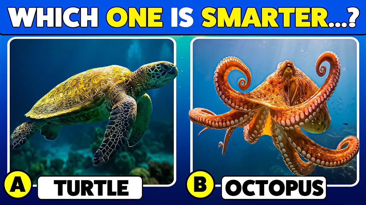 Only Ocean Lovers Can Get All 50 Right 🌊