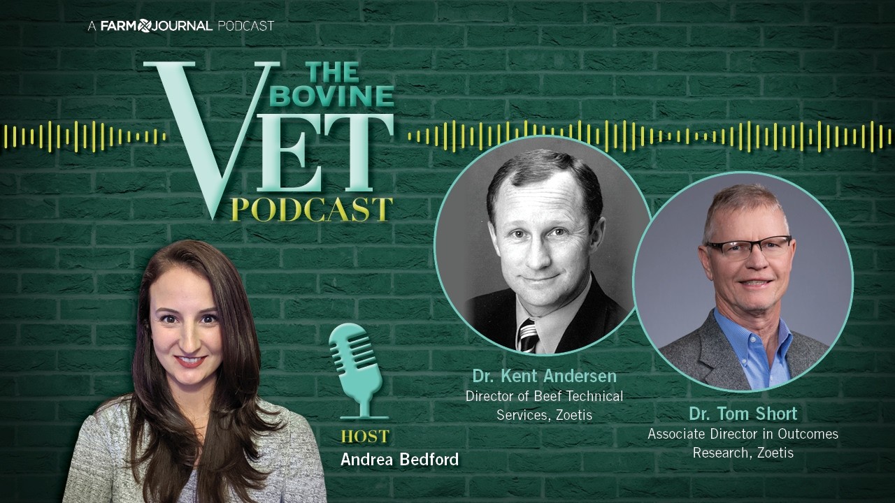 The Bovine Vet Podcast: Genomic Testing & Herd Replacement Decisions