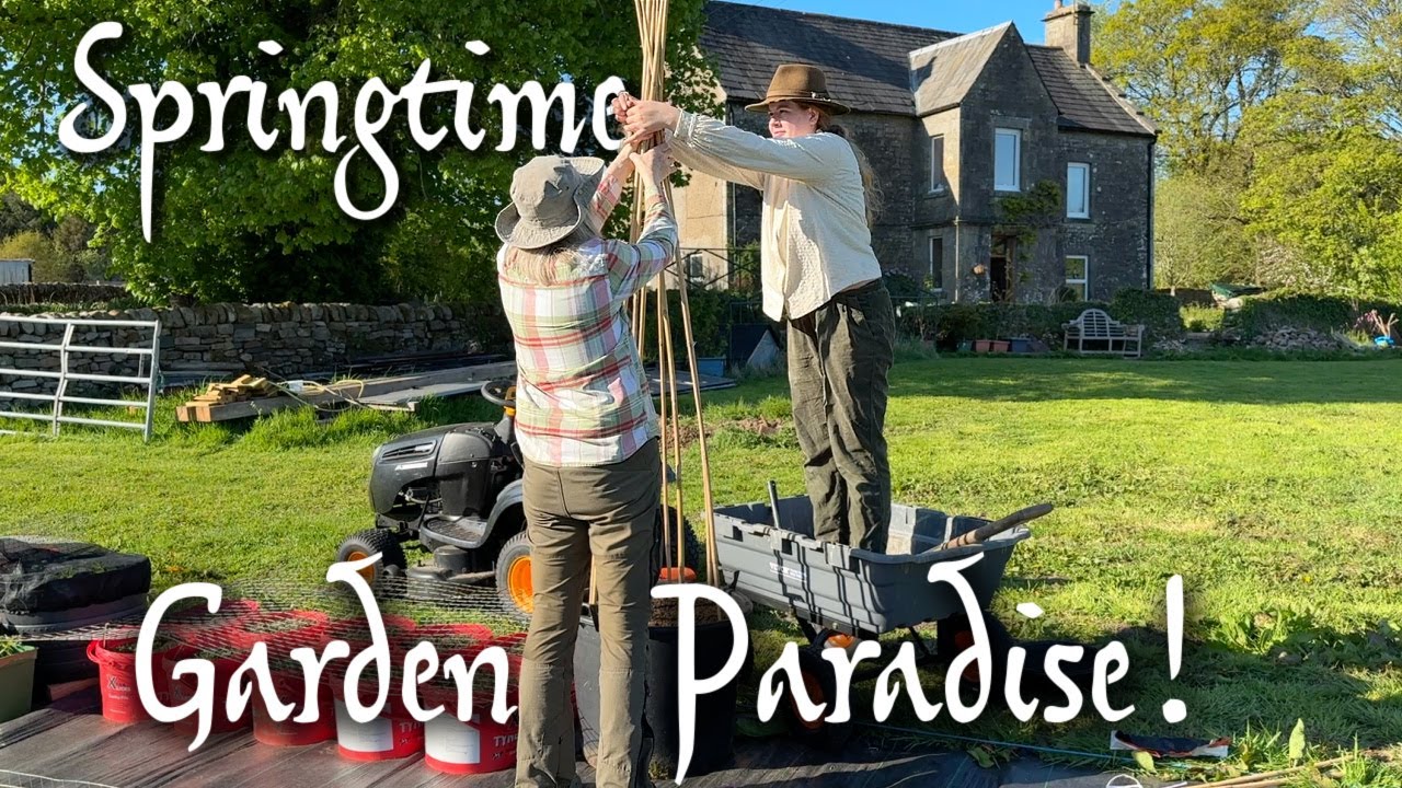 Hard Work Pays Off - Kitchen Garden is Finally Coming to Life! Rural Scottish Homestead Stone House