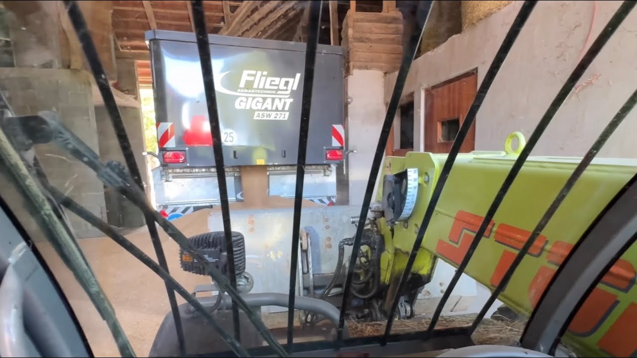 Polno skladišče žita! Vlog mladega kmeta 🧑‍🌾☘️🐄 S:2 - E:1