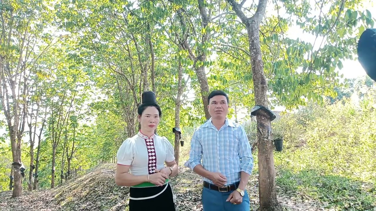 Gặp lò ương tại đồi cao su noong hẻo nhé mọi người chia sẻ cho nhé 