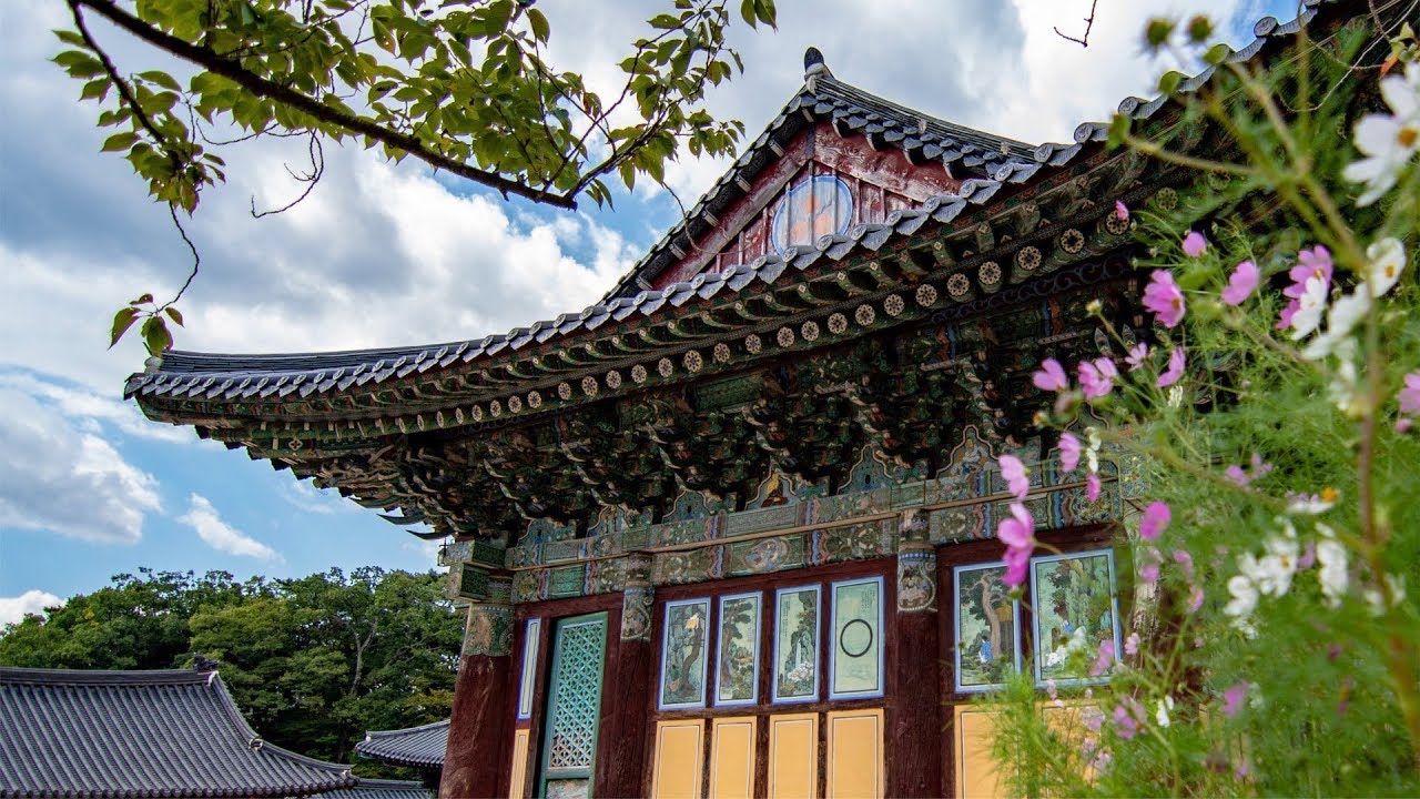 Discovering Daegu | Part #2 - Donghwasa Temple (Templestay) | CheyAShutterbug